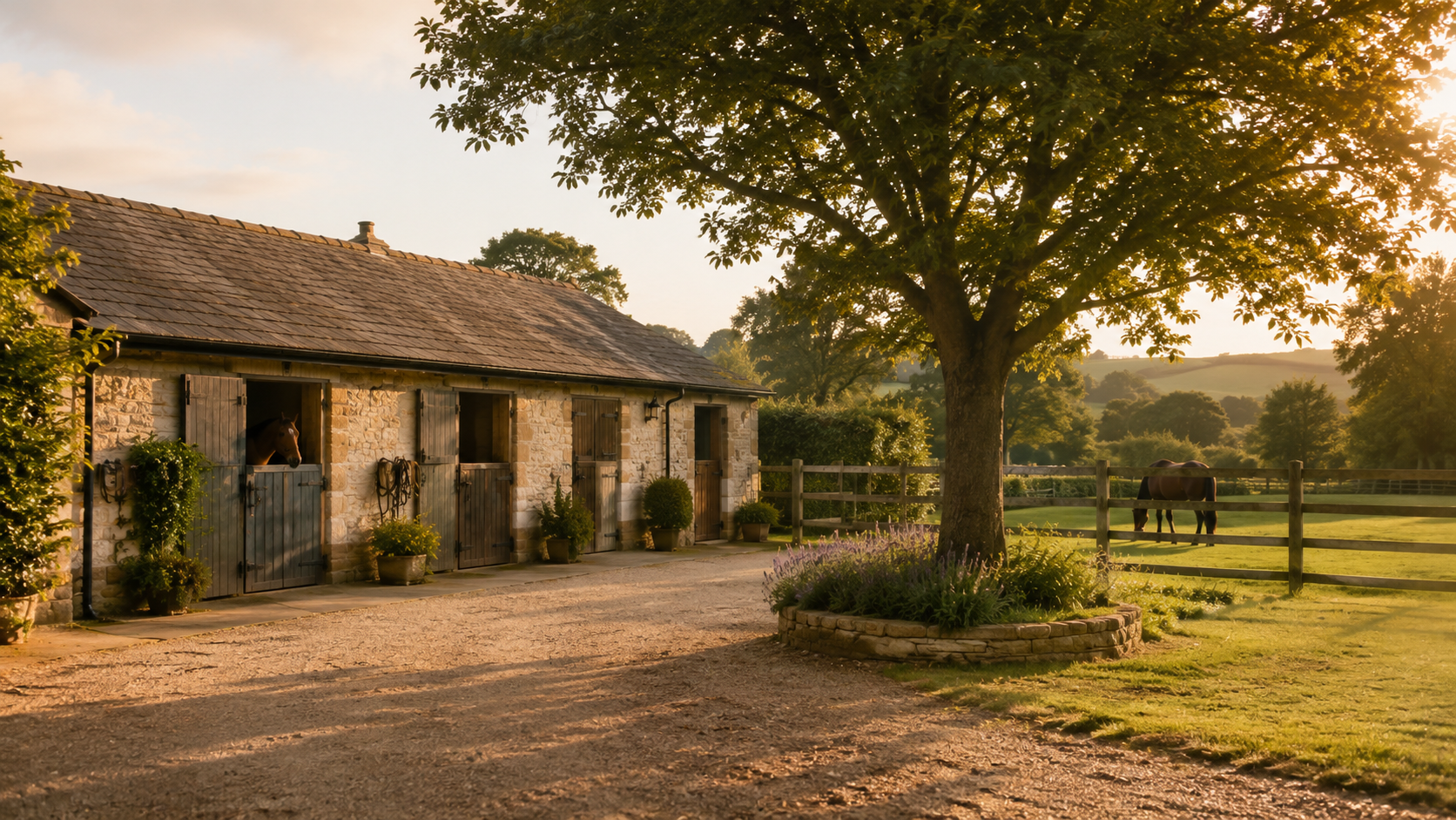 Horse stable cameras for horse yards in England