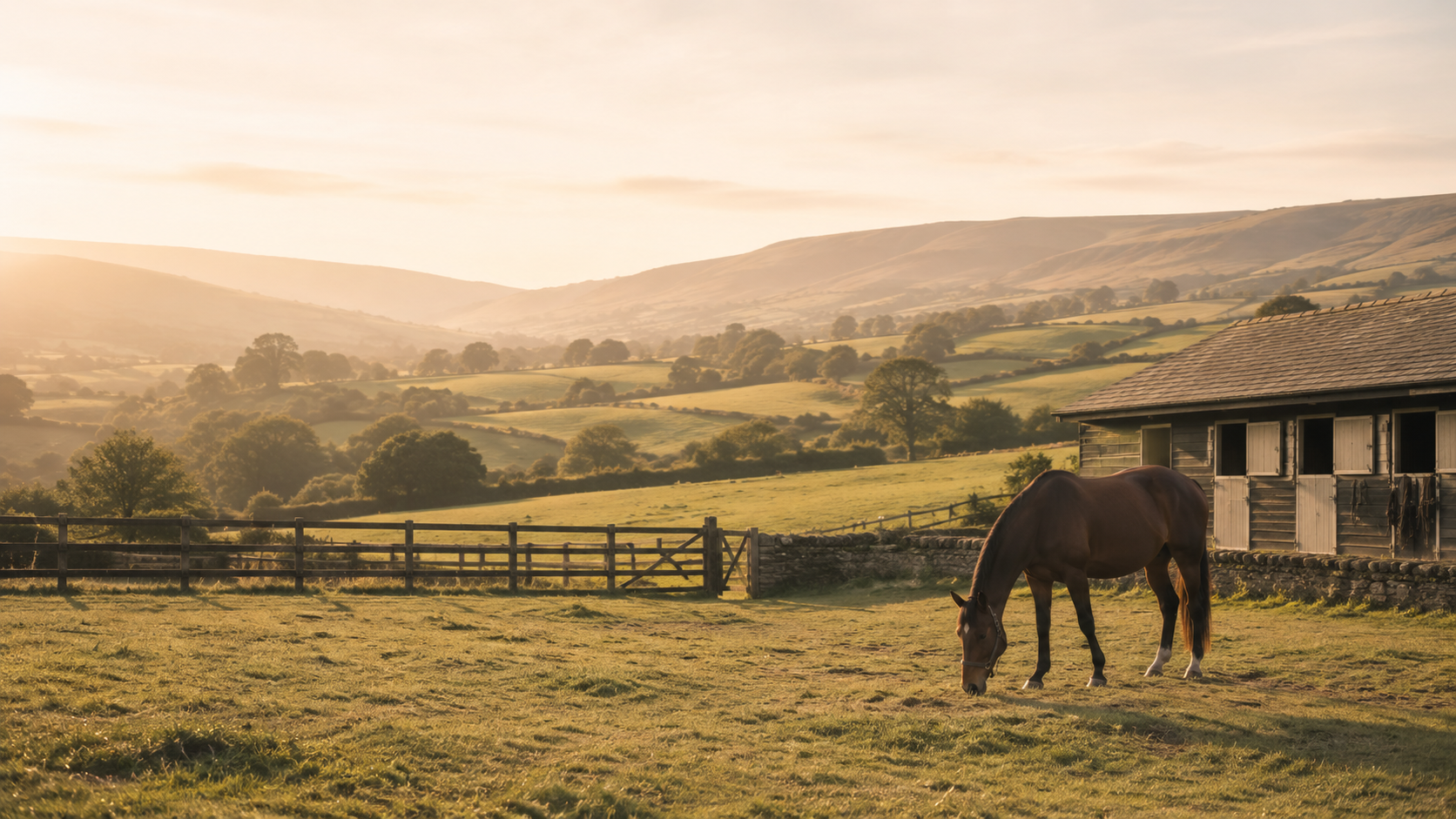 Horse stable cameras for horse yards in Wales